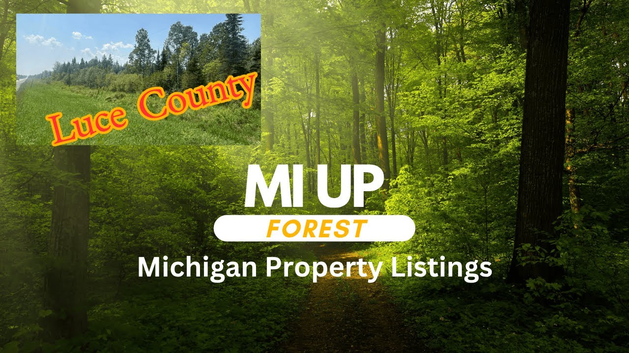 Michigan UP: Off Grid Property $350 acre/400 acres in Newberry!