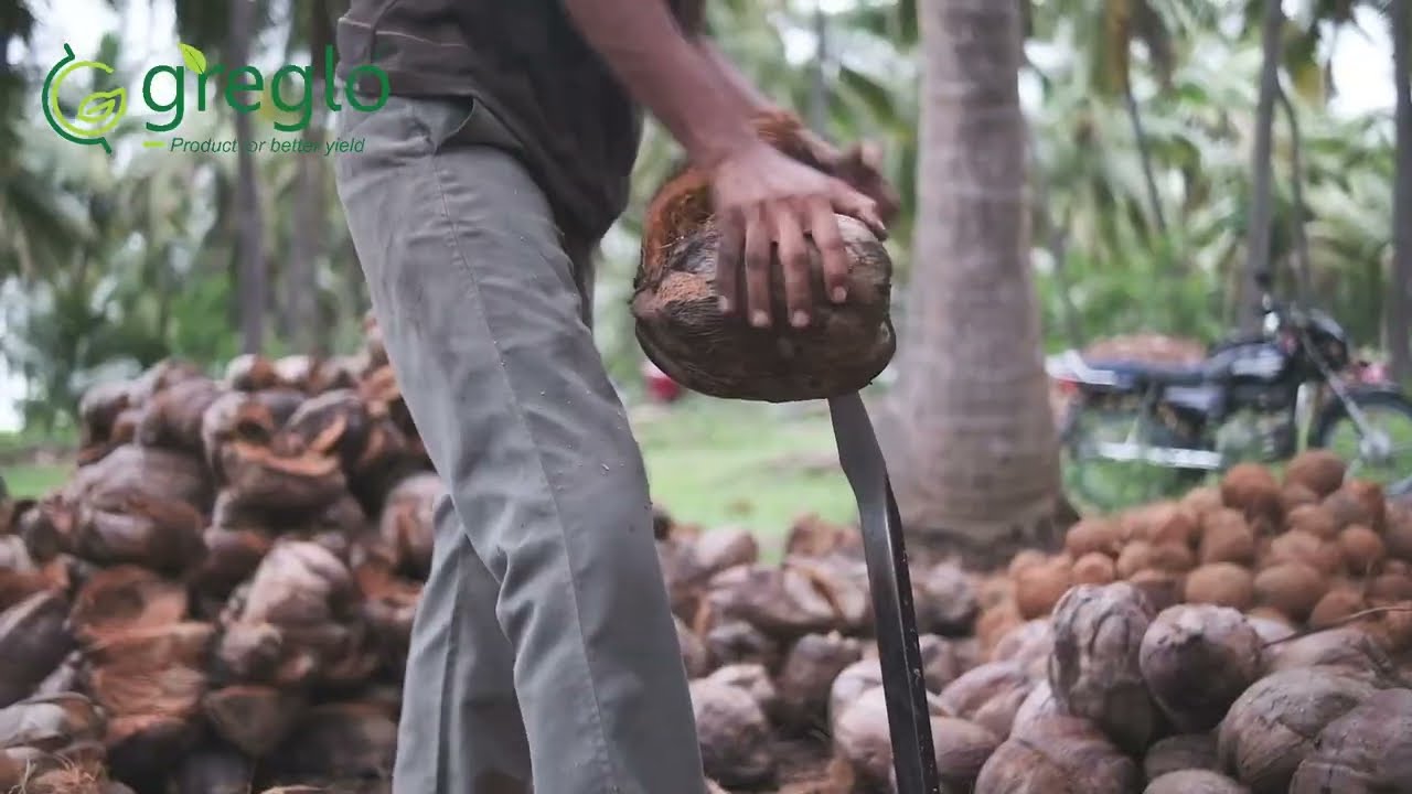 Inside Greenglobe Exports India Pvt Ltd: Leading Cocopeat Exporter and Manufacturer | Factory Tour