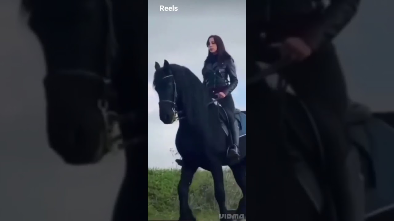 #едіт#животные#лошадь#стафф#змей#тигр🐾🐎🐕🐍🐅🐯