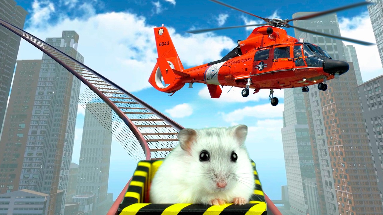 Hamster in Roller Coaster Mazes in Minecraft & Big City