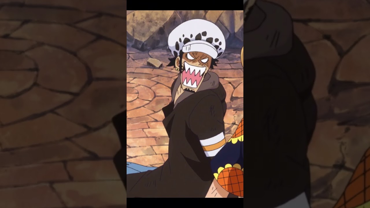 Немного взаимоотношений Луффи и Трафи! #onepiece #ванпис