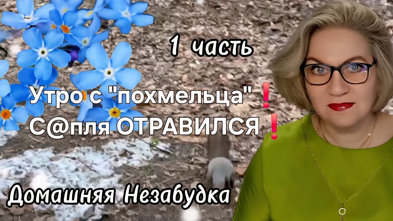 Утро с 