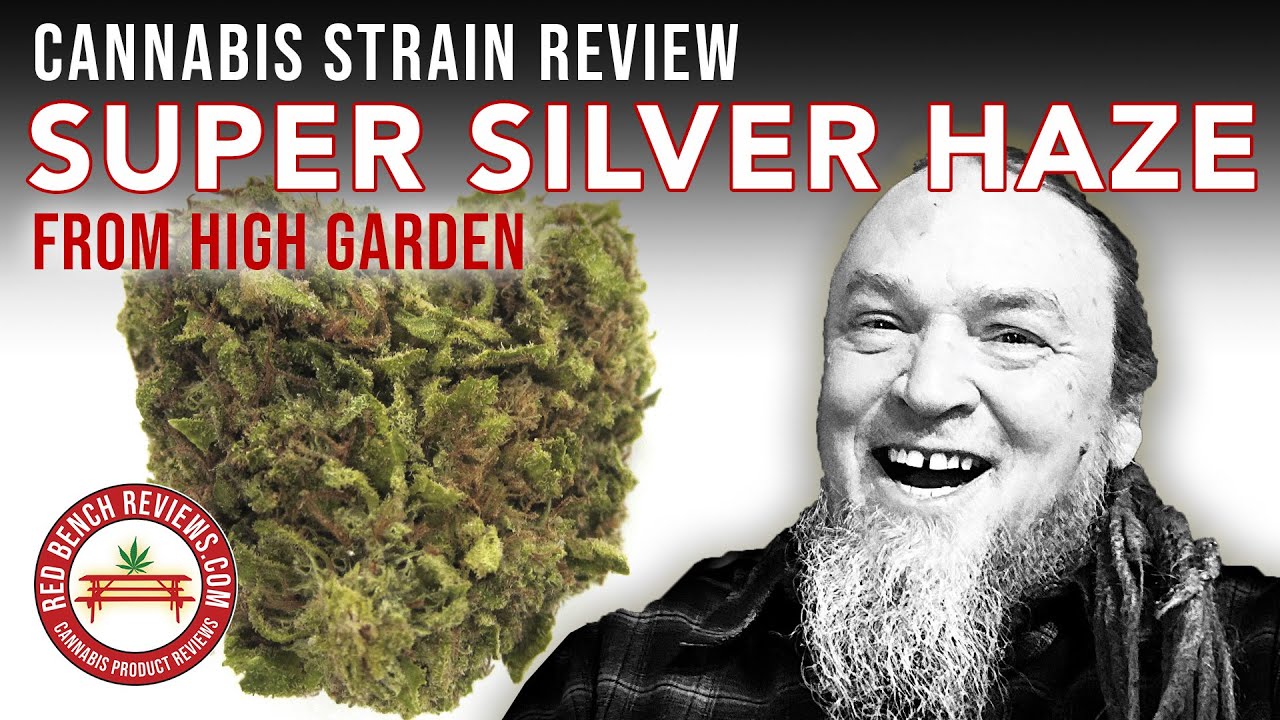 High Garden | Обзор сорта Super Silver Haze | 22,22% ТГК
