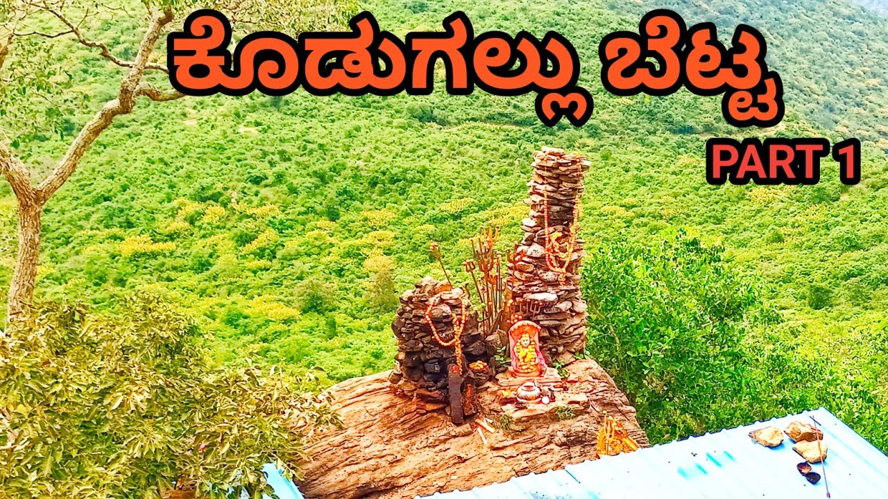 kodugallu betta | male mahadeshwara betta | ಕೋಡುಗಲ್ಲು ಬೆಟ್ಟಕ್ಕೆ ದಾರಿ🙏 #mmhills #malemahadeshwarahill