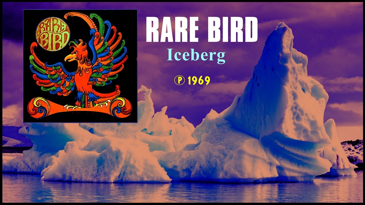 RARE BIRD - Iceberg