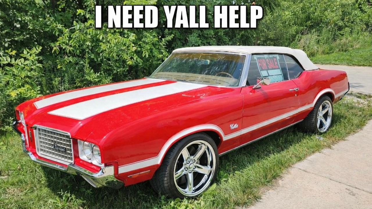 I NEED YALL HELP PLEASE!!