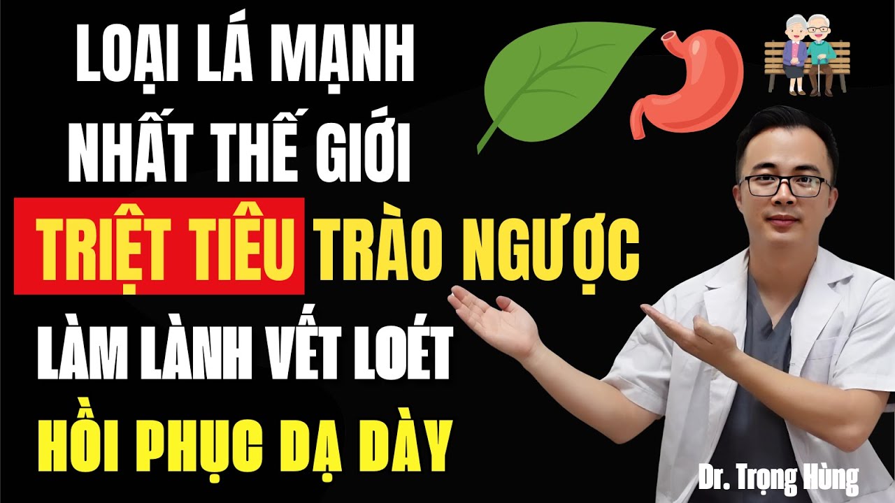 KỲ DIỆU! DÙNG 1 LÁ NÀY TRIỆT TIÊU TRÀO NGƯỢC DẠ DÀY, Ợ NÓNG  LÀM LÀNH VẾT LOÉT VÀ HỒI PHỤC TỪ GỐC