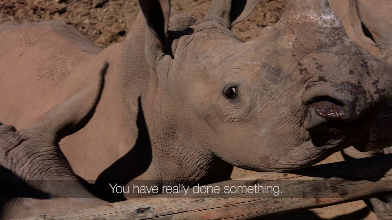 Care for Wild: An Out of the Ordinary Orphanage
