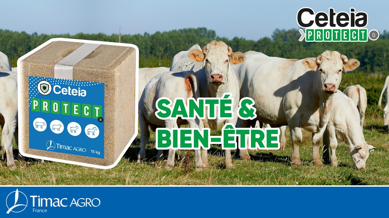 CETEIA PROTECT B : Votre solution parasitisme