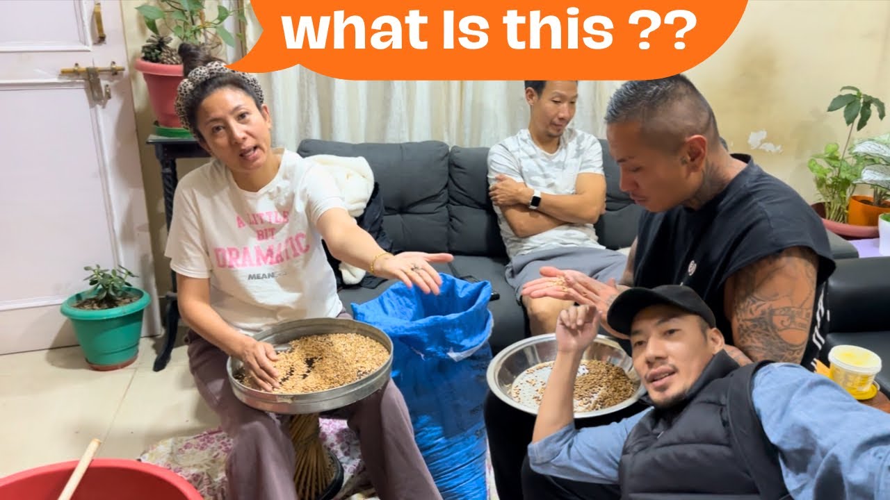 What is this ?? || family || Tibetan vlogger || Bir ||