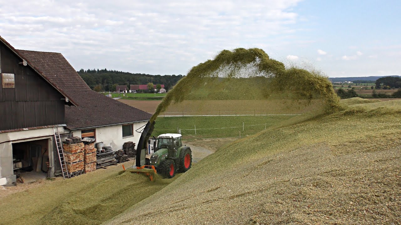 Maishäckseln mit Schneefräse 2015 auf dem Kögelhof