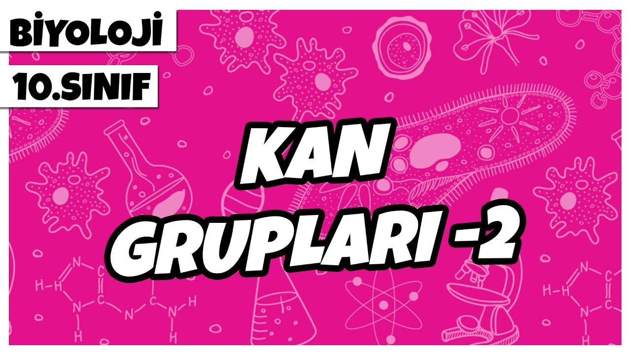 10. Sınıf Biyoloji - Kan Grupları -2