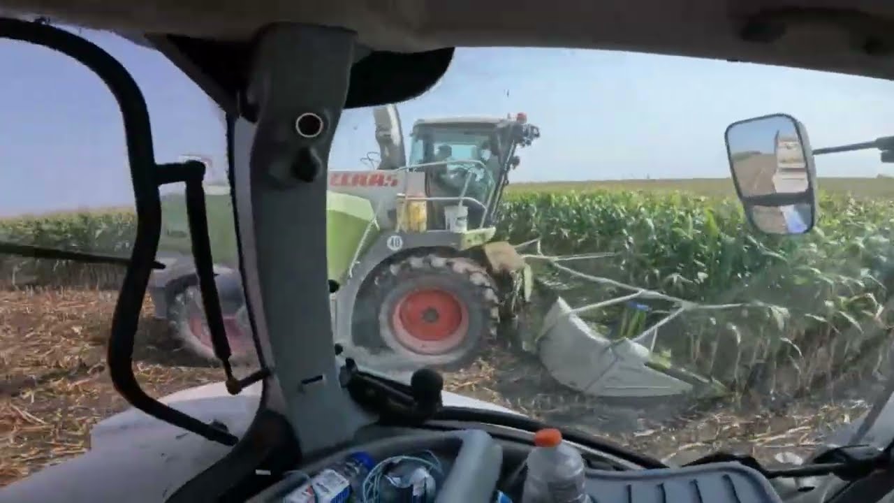 POV of driving silage cart