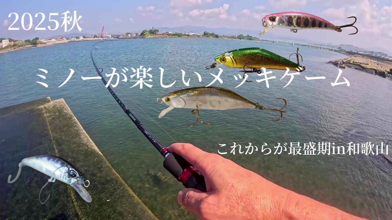 和歌山 ミノー無双！