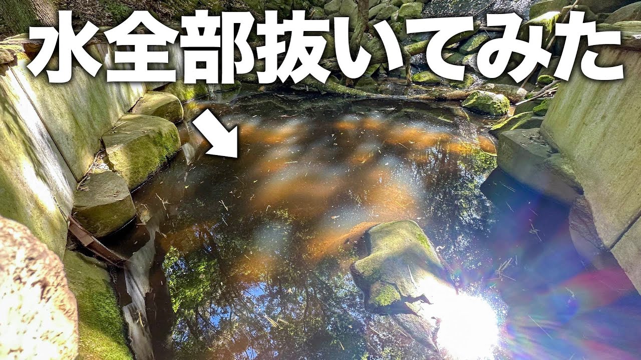 ビーバーの住む池の水全抜きしてみた