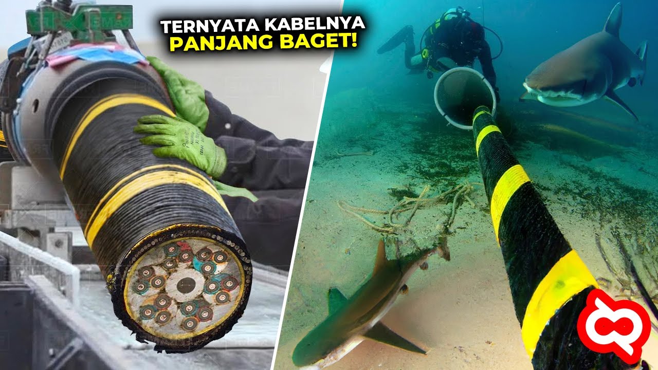 MENGERIKAN! Begini Proses Pemasangan Kabel Komunikasi Bawah Laut, Penyelamnya Jadi Incaran Hiu Ganas
