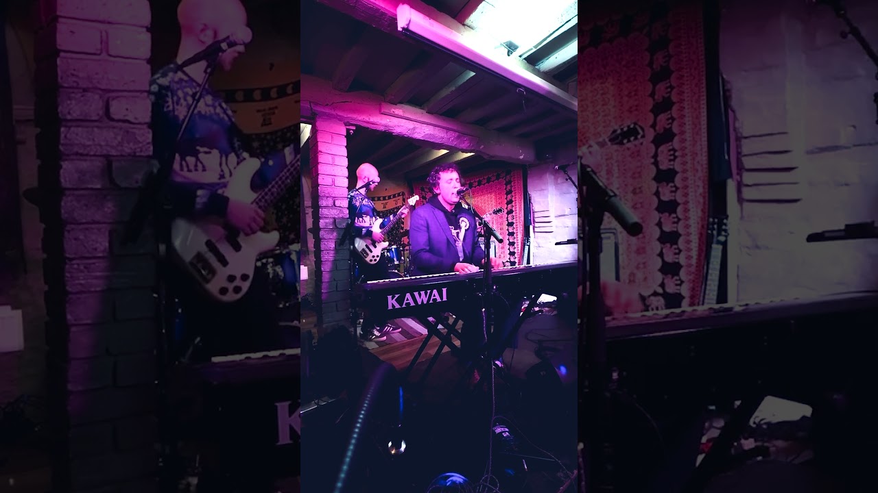 The Shadow Cabinet  |  Ghost in The East Wing LIVE @The Sunset Lounge 