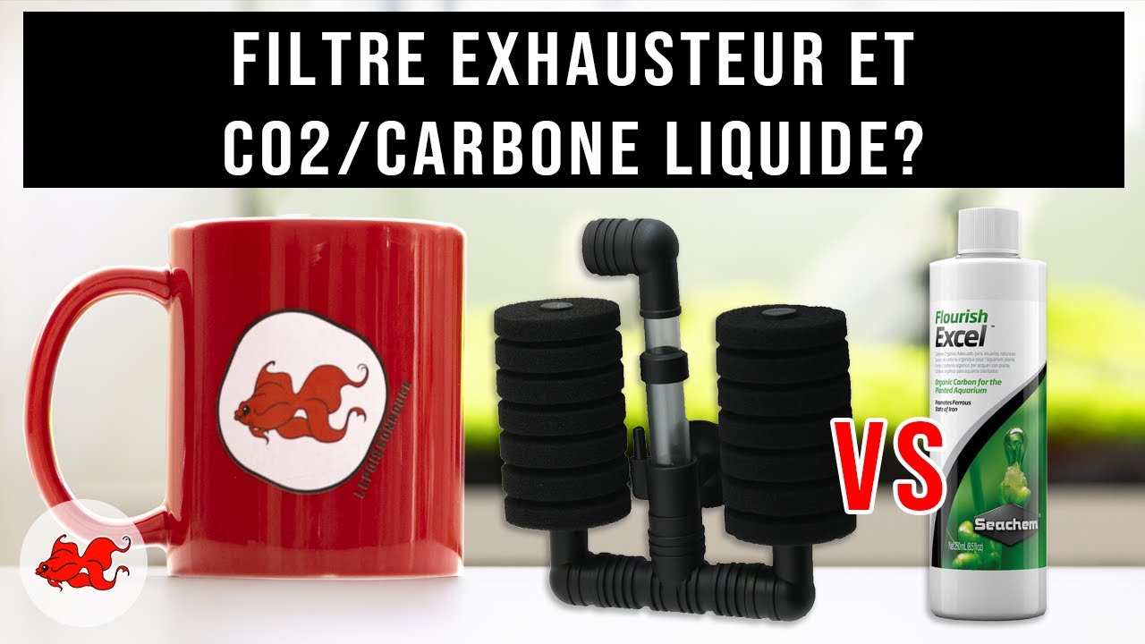 Aqua Tea' - Filtre exhausteur et CO2 liquide?