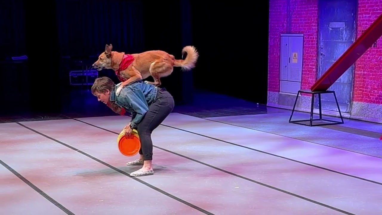 Mutts Gone Nuts: Unleashed! In Dayton