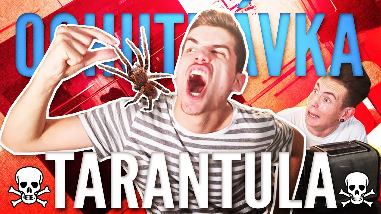 ZJEDOL SOM TARANTULU?! | OCHUTNÁVKA | GoGo & Exploited