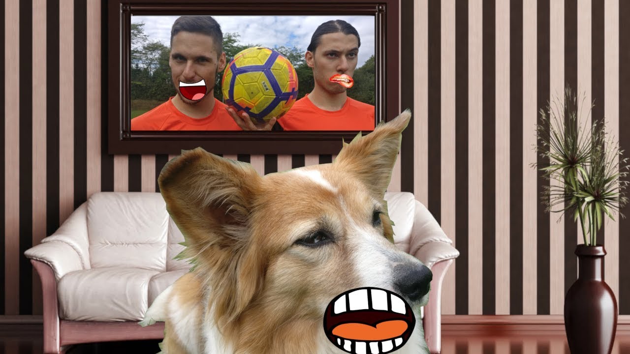 SKIBIDI: PARODIA F&Uacute;TBOL ✌️ (HUMOR) | #SkibidiChallenge - Celebraci&oacute;n 2018 | Living4Football