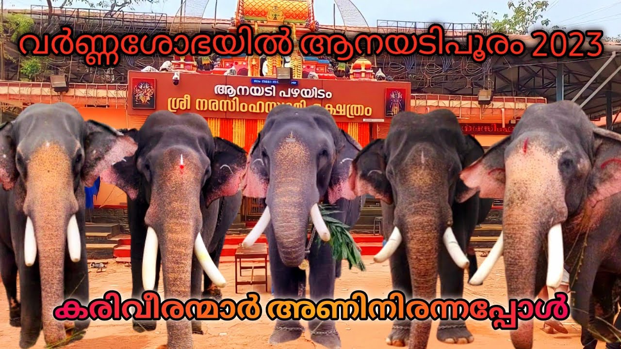 Anayadi pooram 2023 |anayadi sree Narasimha swami temple | 24 Time Travel | #aanapremi #aanakeralam