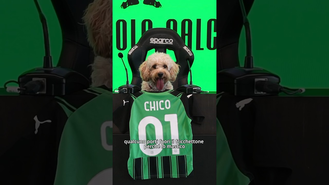 Sono un calciatore del SCIASCIUOLO #ForzaSasol 🖤💚
