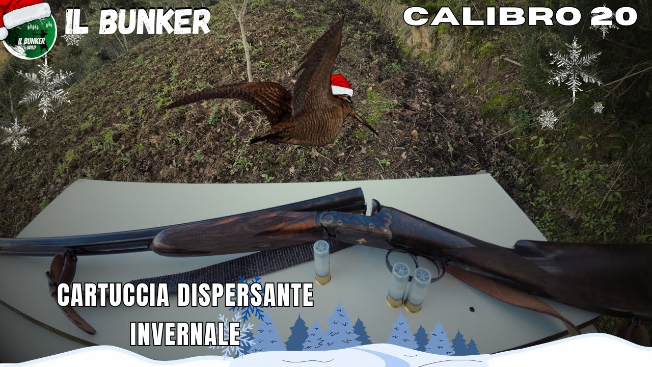 TEST DISPERSANTE MB x32 per caccia alla beccaccia ❄️invernale ❄️