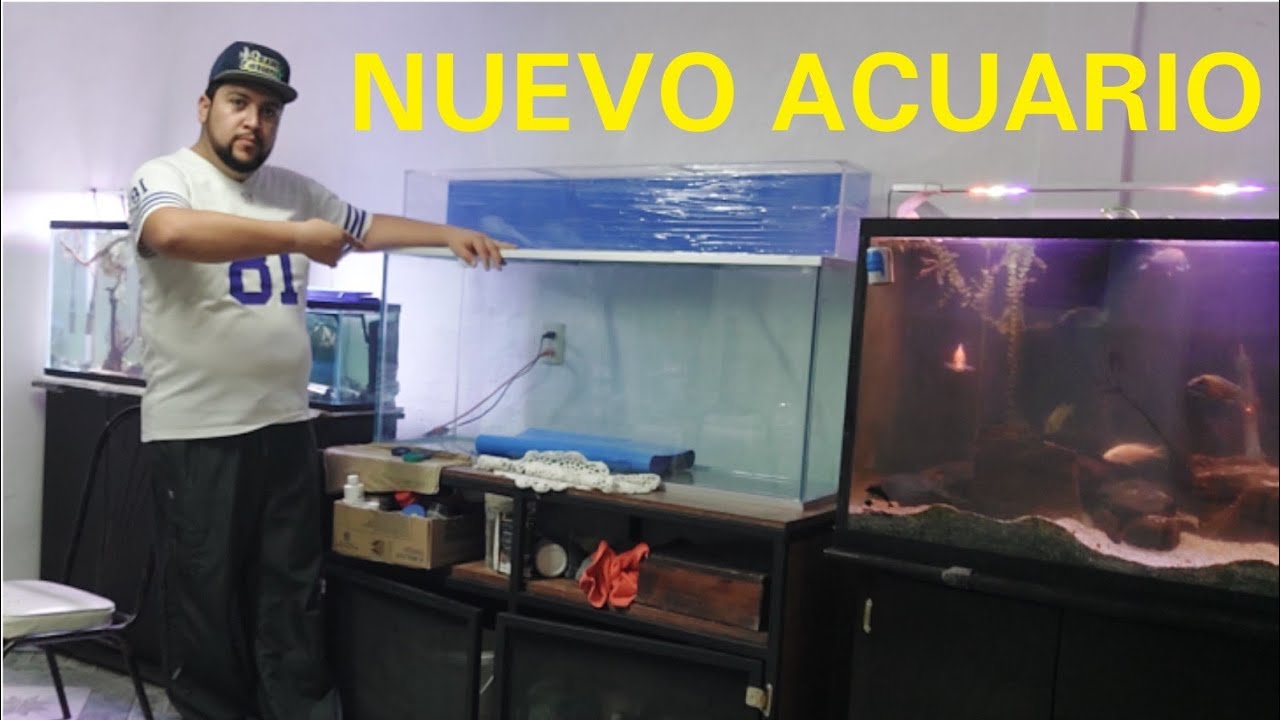Este es mi Nuevo Acuario Profesional de 240 Litros (Chars Fishers)