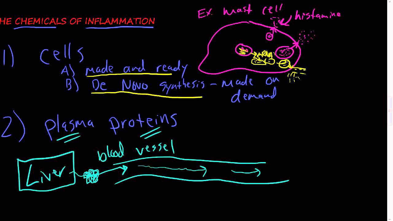 #24 - The chemicals of inflammation - cell derived chemicals - Intro, Histamine, Serotonin