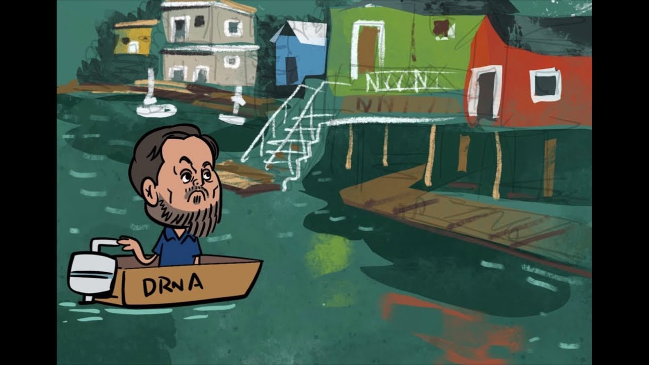 Se conflicto y arrestos gracias a estas sabandijas! Documental Internacional viene en camino