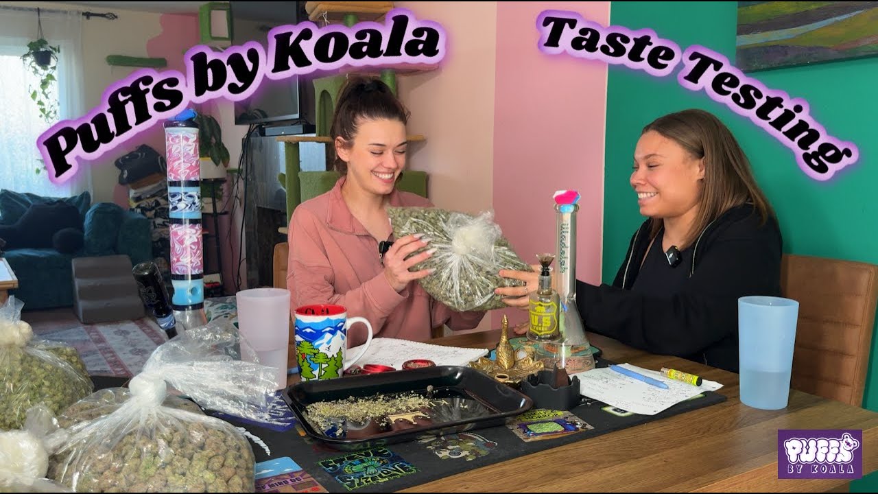 Puffs by Koala -Taste Testing