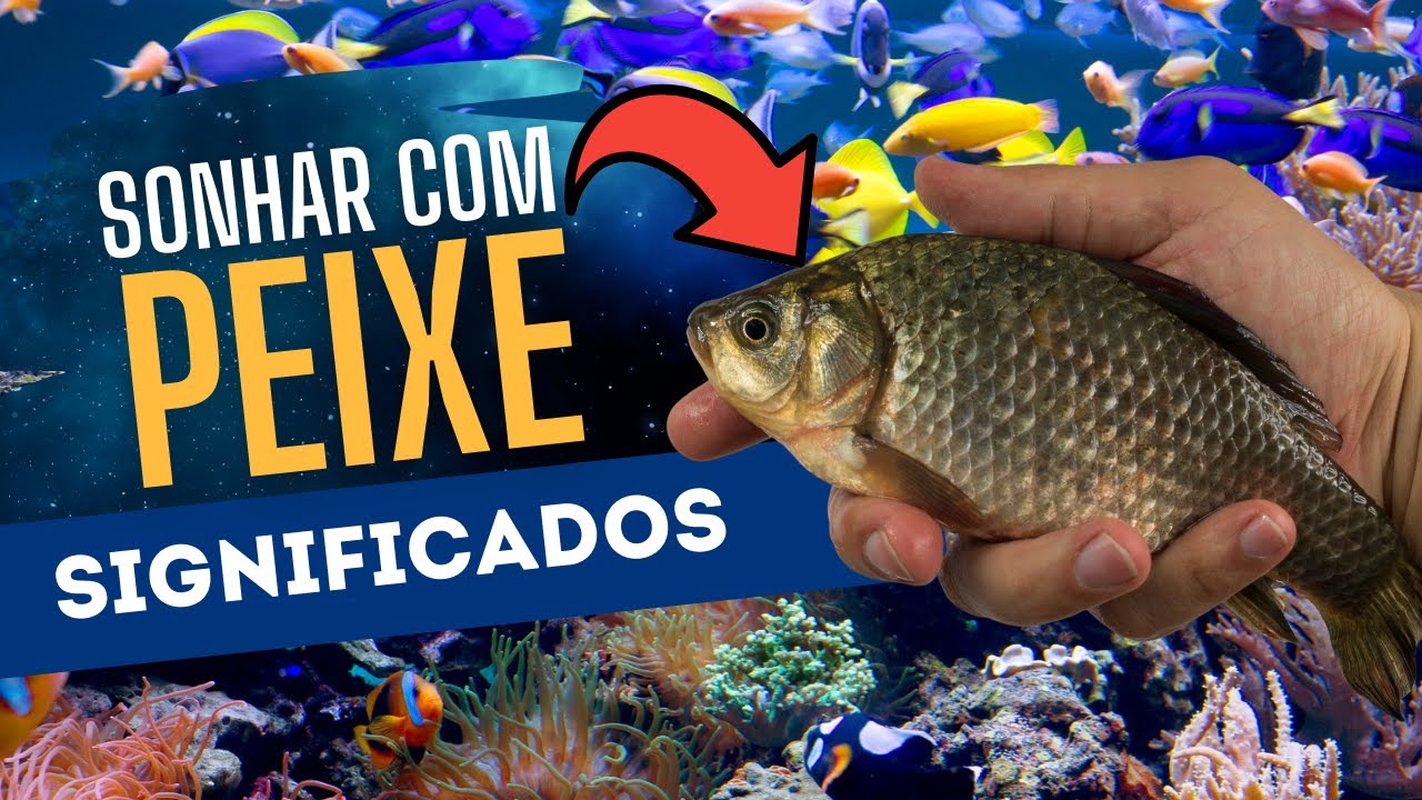 Sonhar com Peixe (VÁRIOS Significados) - Interpretando Sonhos