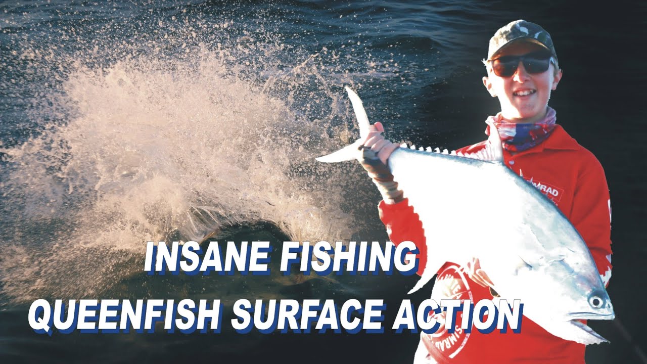 Insane Fishing - Queenfish Surface Action