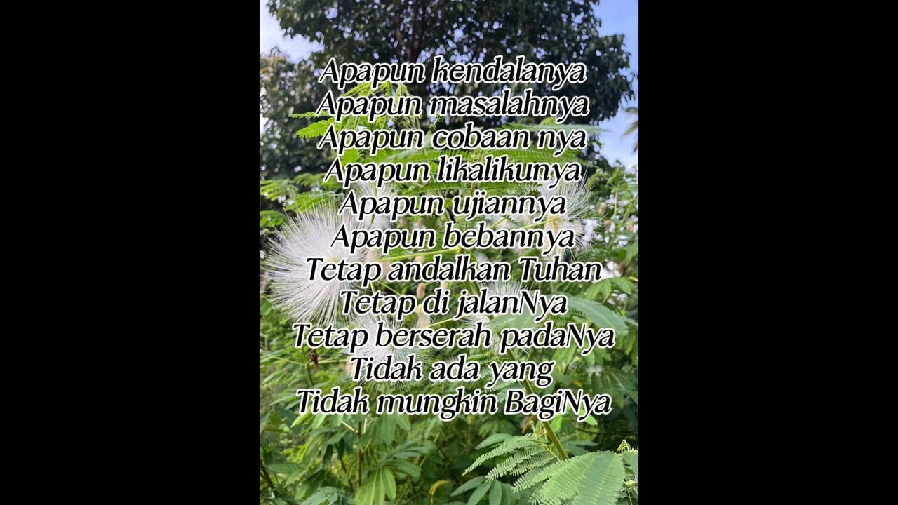 Terima kasih Tuhan 🙏 #renunganharian #renunganrohanikristen  #lagurohanikristen