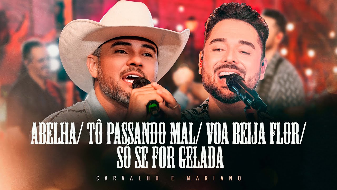 Abelha | Tô passando Mal | Voa Beija Flor | So se for Gelada  | As Mais Animadas do Sertanejo Vol. 2