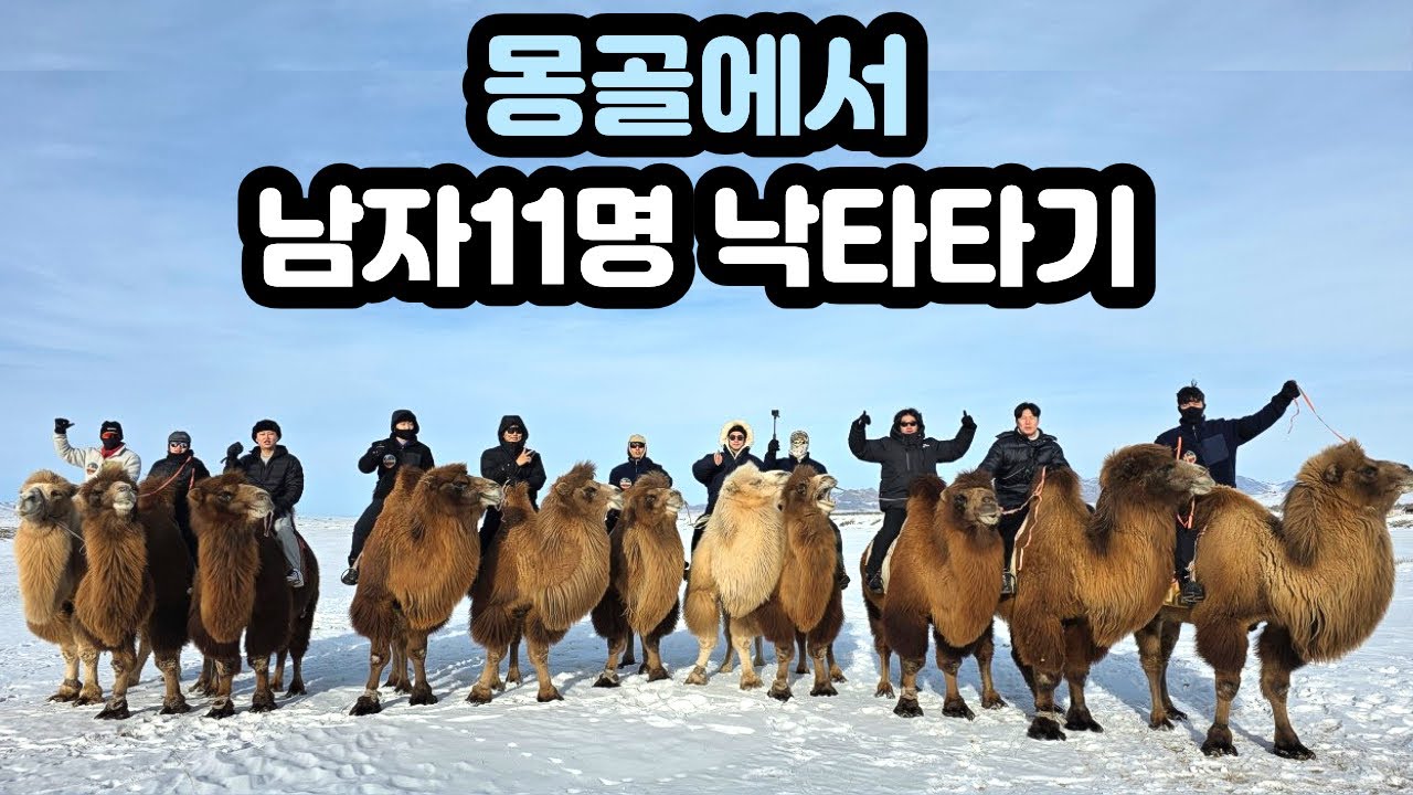 몽골 미니사막 낙타타기, 썰매타기, 광란의 밤... [몽골 ep3]