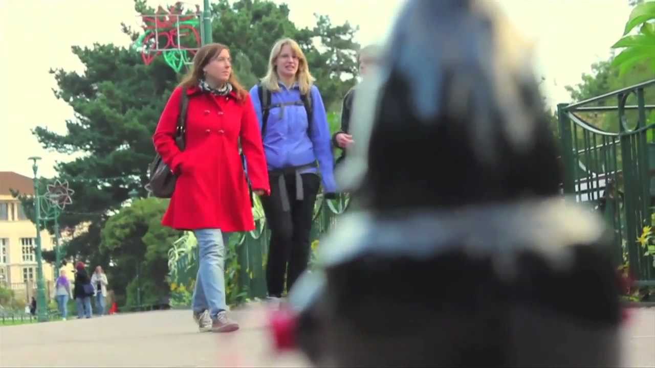 Cinematography - BATVAs 2011