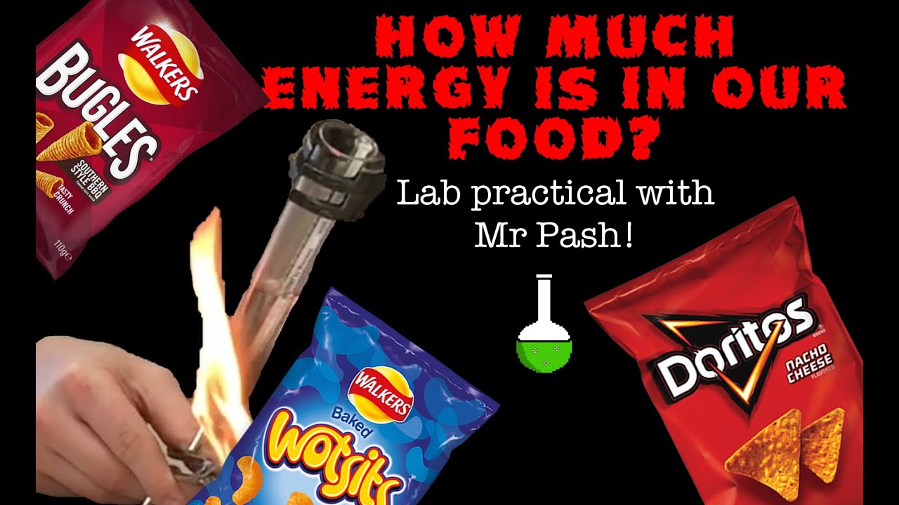 How much energy is in our food? Crisp burning lab practical with Mr Pash!