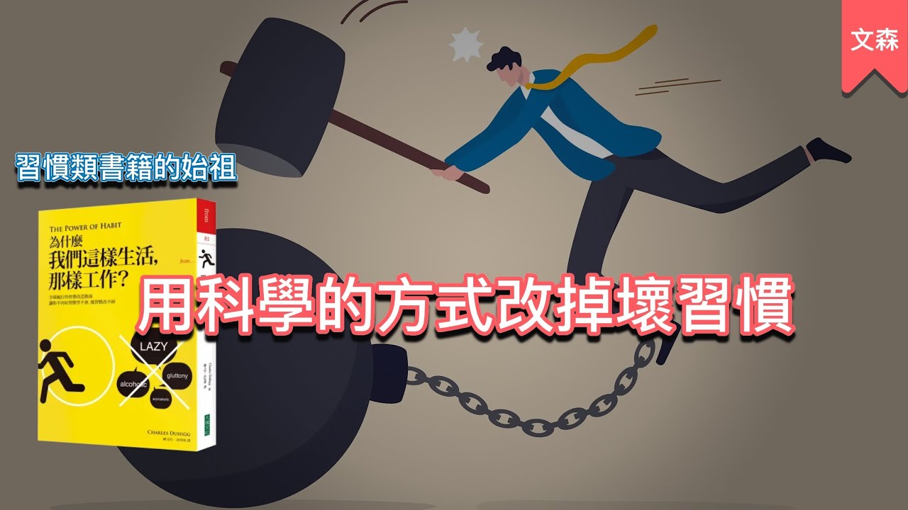講習慣的書這本最經典｜《為什麼我們這樣生活，那樣工作？》｜文森說書