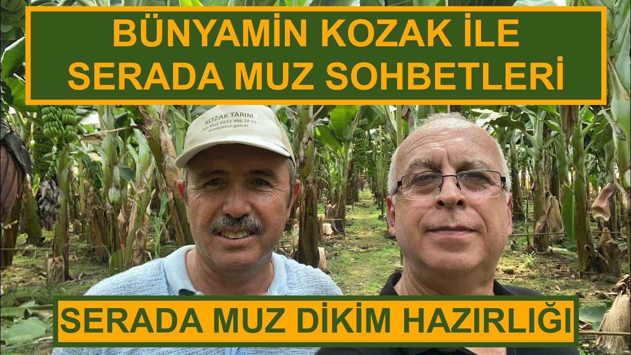 SERADA MUZ DİKİM HAZIRLIĞI