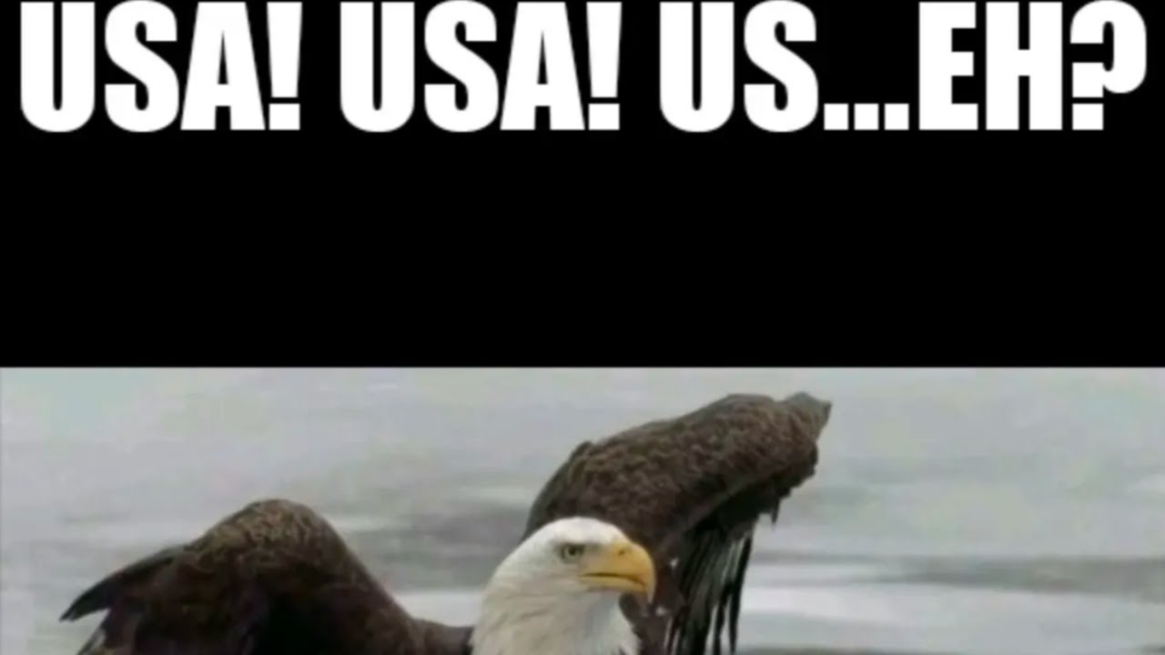 Free Agency and NFL Draft Preview