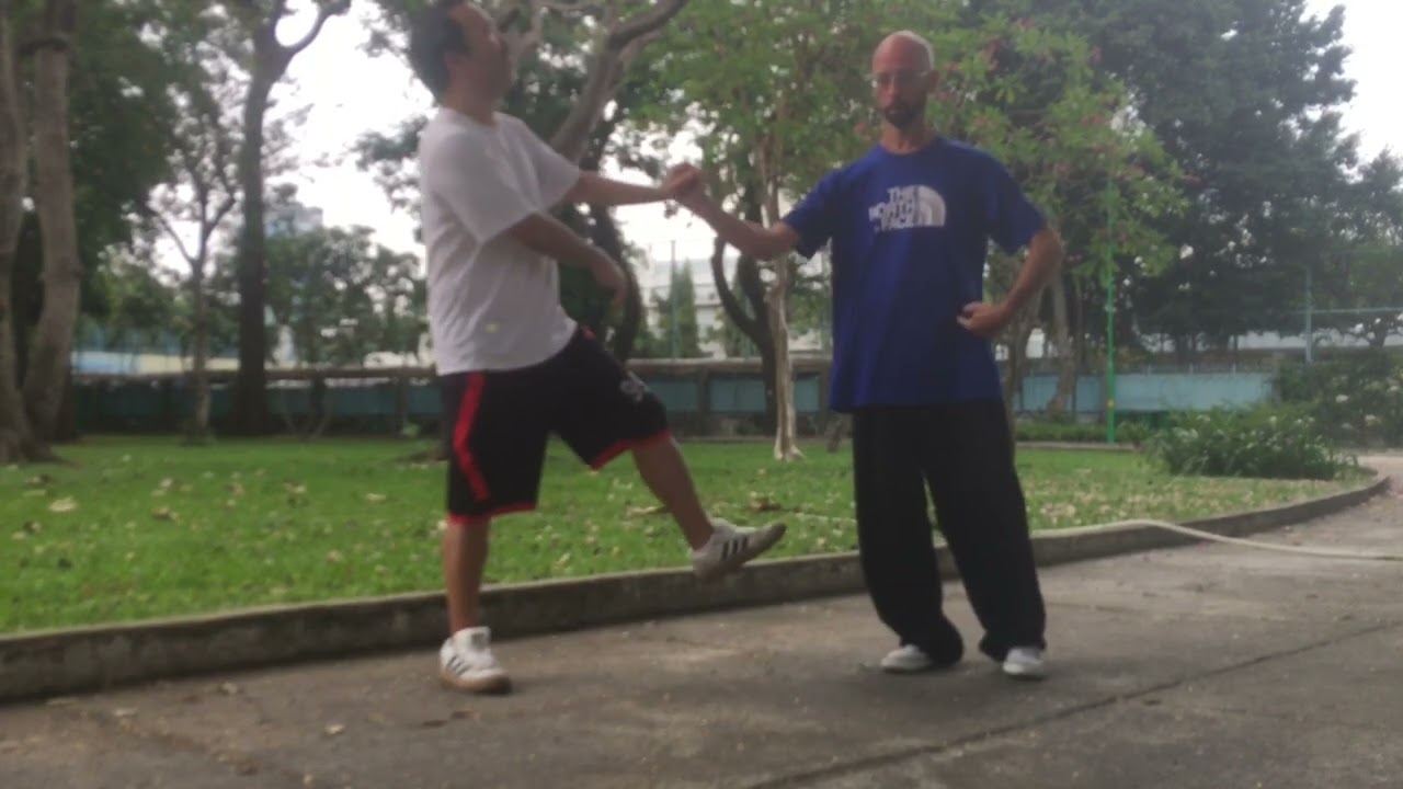 Body Mechanics vs Peng Jin in “Single Whip”