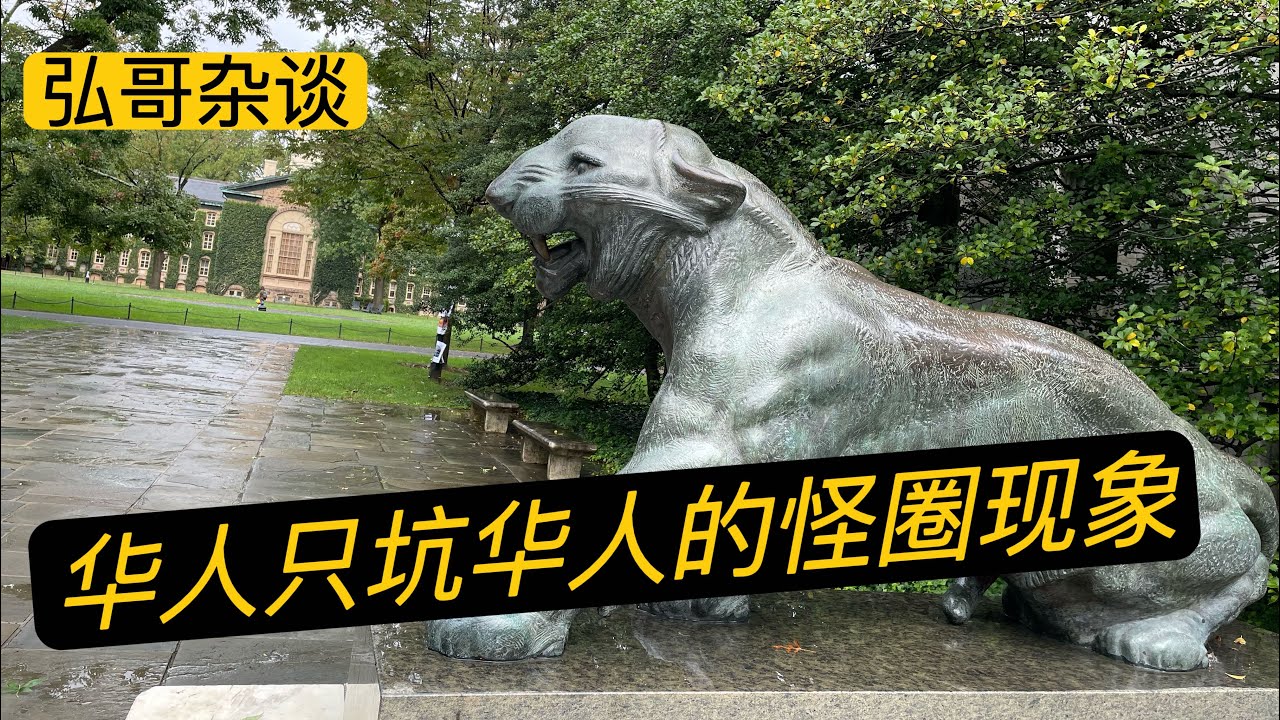 海外华人为何总出现同族互害？从某医学实验室的华女挟洋自重，到联邦机构内上演的美国版《甄嬛传》，聊聊三种背景原因的华人内斗。