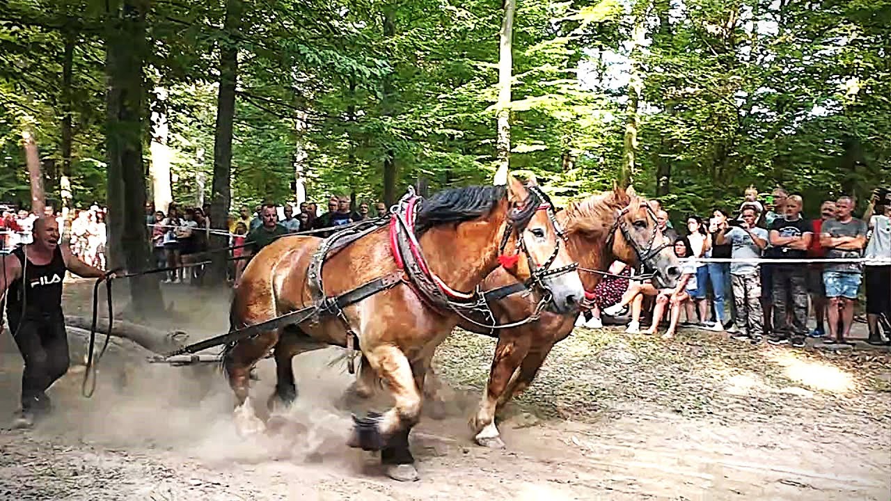 Furmanské preteky-Sobranecké kúpele 2024