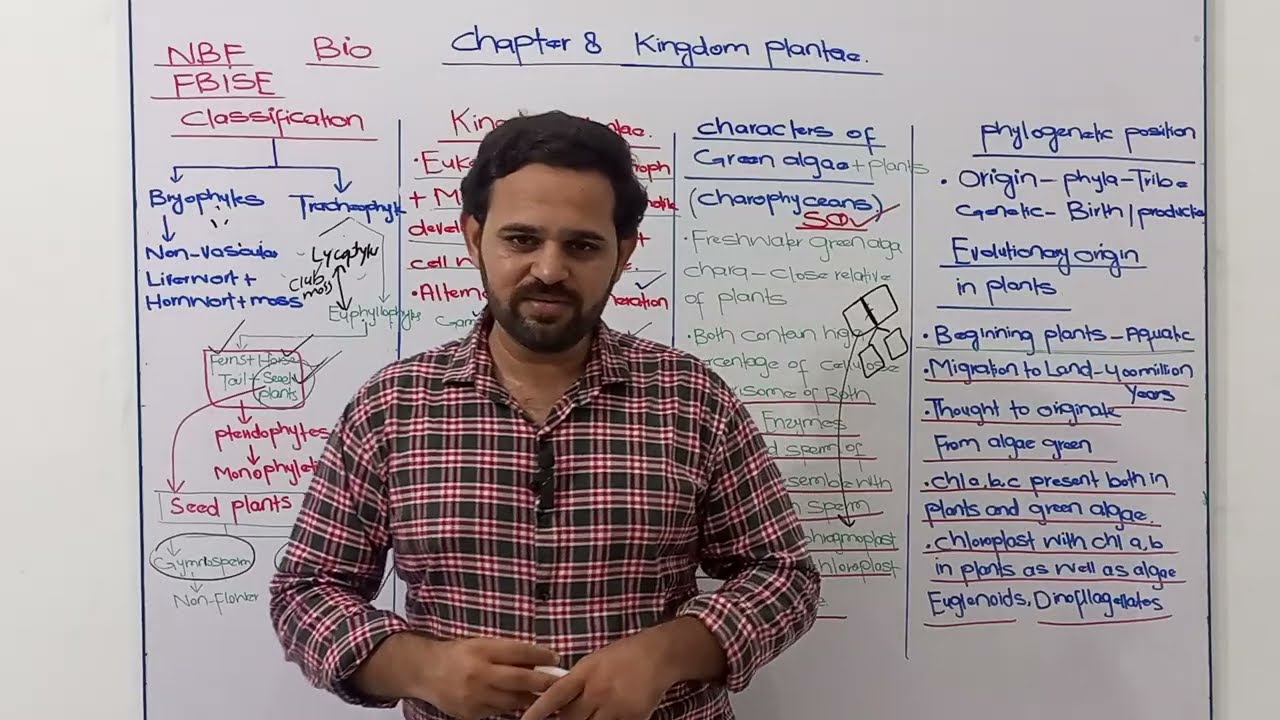 Kingdom plantae | Class 11 | Biology | NBF | FBISE | Phylogenetic position of plants