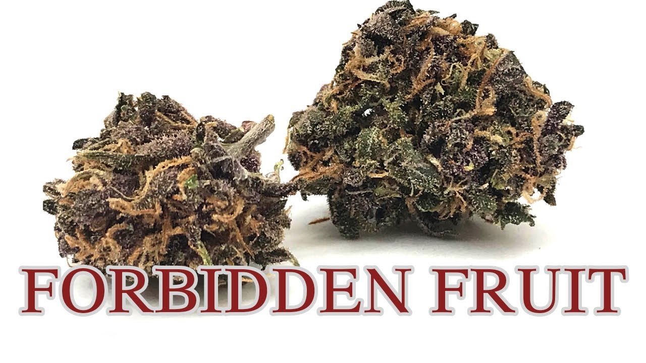 Forbidden Fruit
