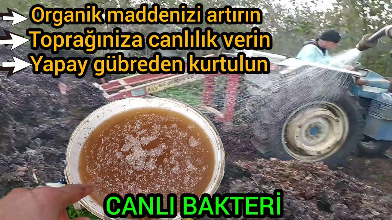 FINDIK zurfu (BOKASHİ) kopostu canlı bakteri uygulamasıyla topraklarınızı costurun canlandırın!!!!
