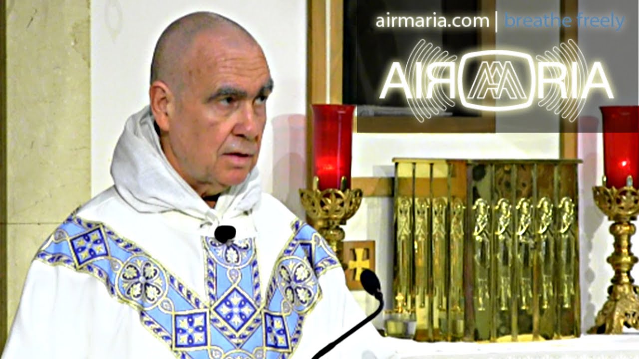 “Mankind has entered a storm... yet there is nothing to fear” - Jul 02 - Homily - Fr Andre