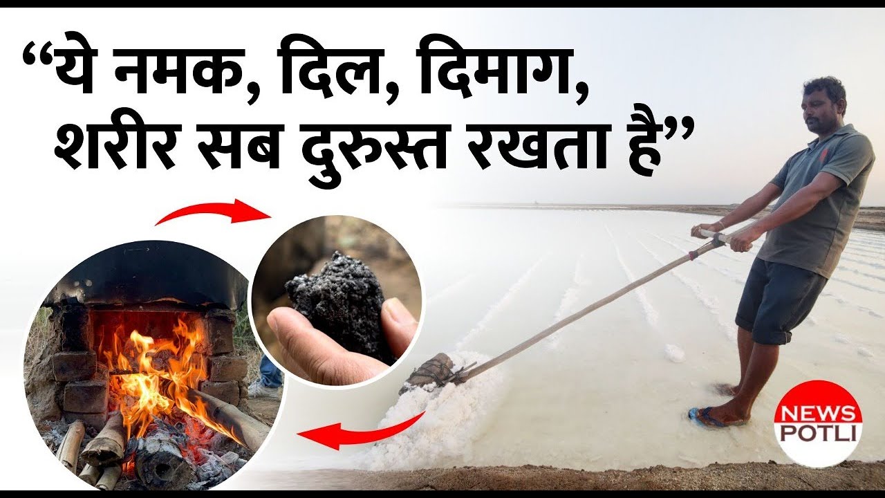 महंगा नमक ! Bamboo Salt Making Process | सेहत से भरपूर बैंबू साल्ट Korean Bamboo salt | News Polti